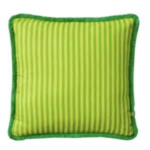 Pinstripe Lime Printed Pillow with Fringe